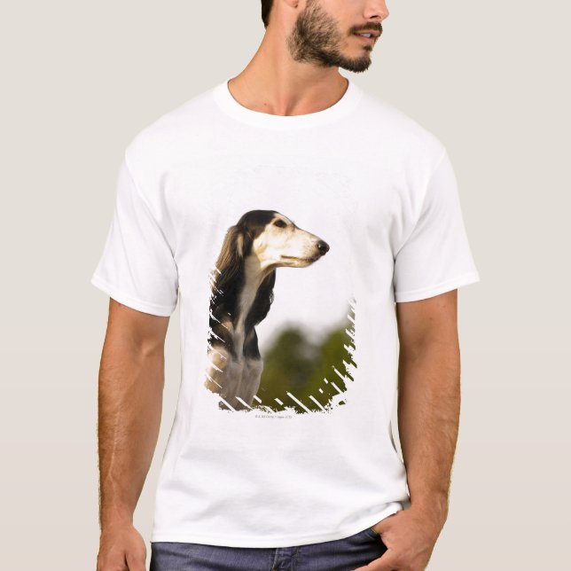 Camiseta Saluki 2 (Anverso)