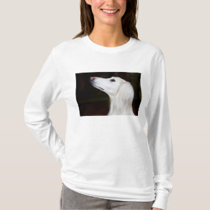 Camiseta Saluki que mira para arriba
