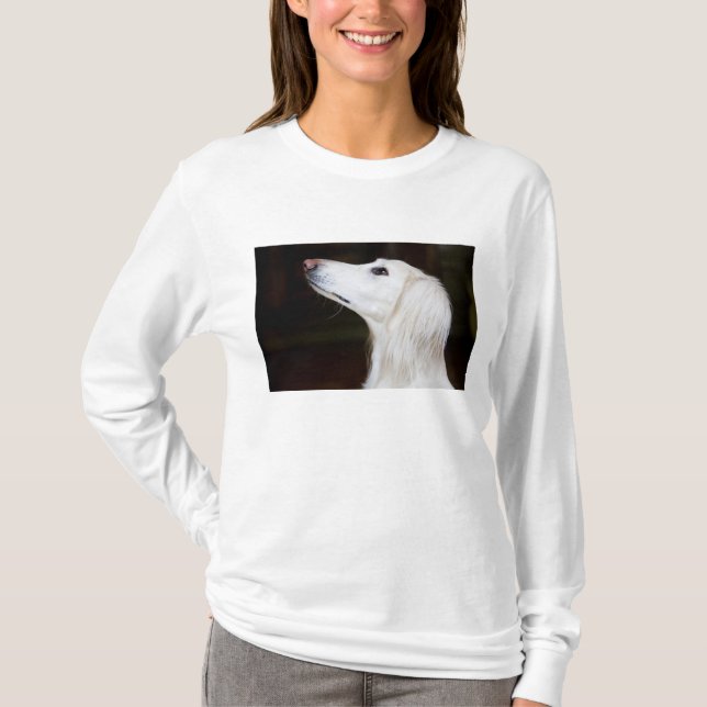 Camiseta Saluki que mira para arriba (Anverso)