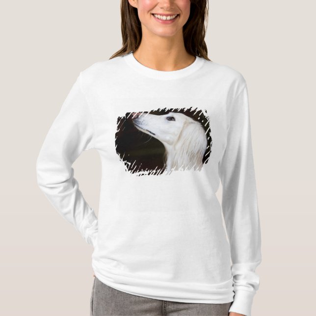 Camiseta Saluki que mira para arriba (Anverso)