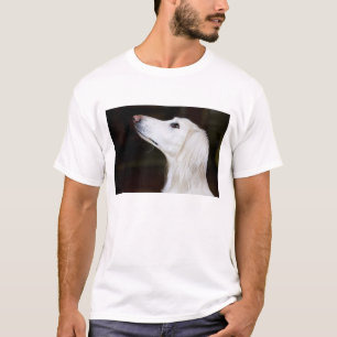 Camiseta Saluki que mira para arriba