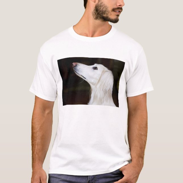 Camiseta Saluki que mira para arriba (Anverso)