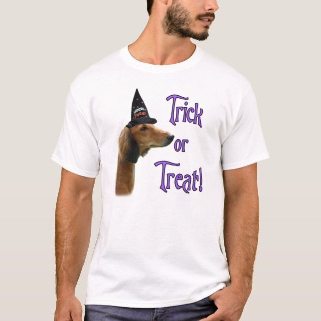 Camiseta Saluki Trick (Anverso)