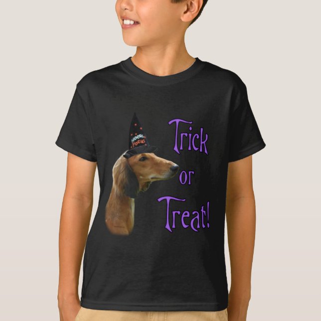 Camiseta Saluki Trick (Anverso)