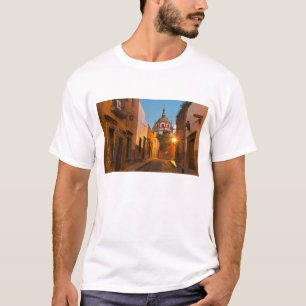 Camiseta San Miguel de Allende, México. Crédito como:Nancy
