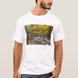 Camiseta Sanderson Brook. Bosque Estatal Chester-Blanford.