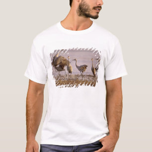 Camiseta Sandhill Cranes Grus canadensis) Platte