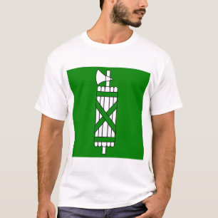 Camiseta Sankt Gallen, Suiza