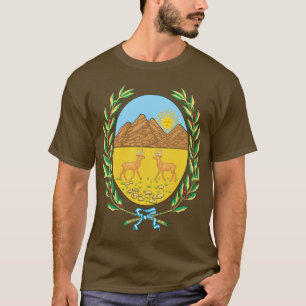 Camiseta sanluis, la Argentina