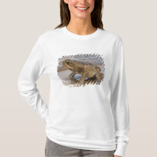 Camiseta Sapo Cane Rhinella marina, previamente Bufo
