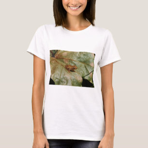 Camiseta Sapo minúsculo