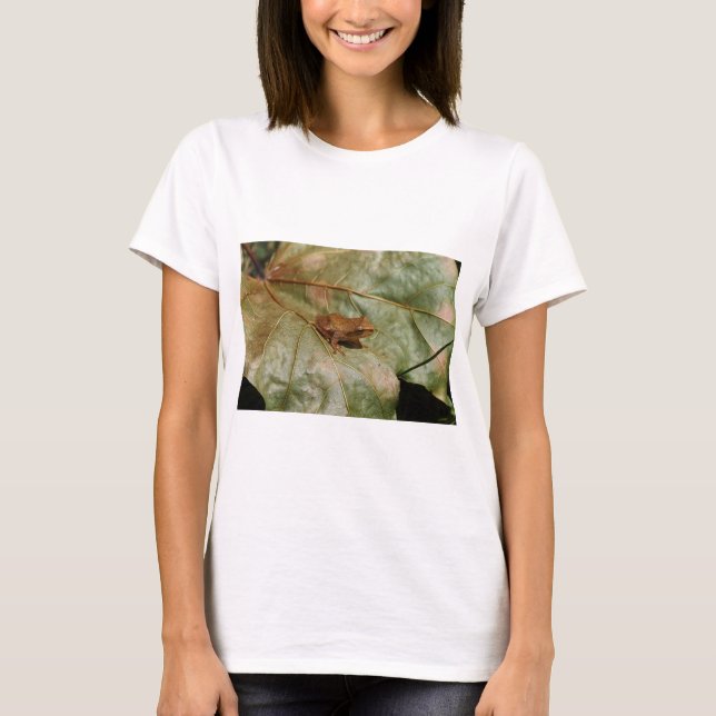 Camiseta Sapo minúsculo (Anverso)