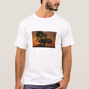 Camiseta Savannah Sunset
