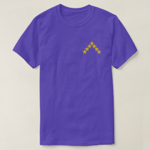 Camiseta SCA Mynydd Seren T-Shirt