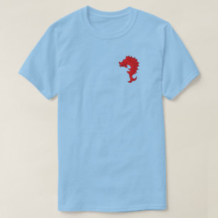 Camiseta SCA Tir-y-Don