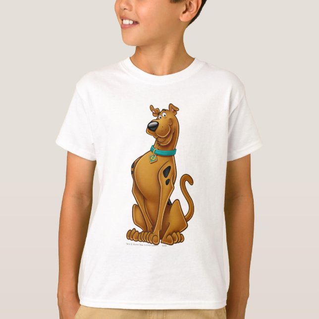 Camiseta Scooby-Doo Airbroche (Anverso)