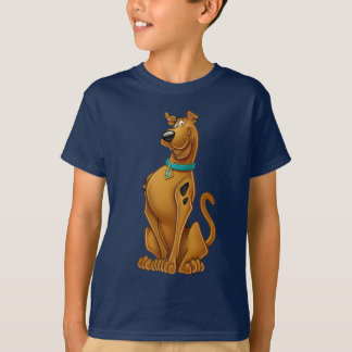 Camiseta Scooby-Doo Airbroche