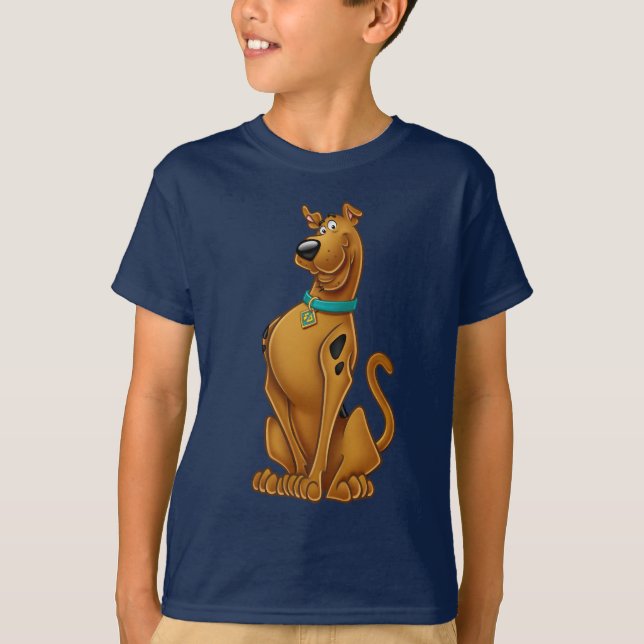 Camiseta Scooby-Doo Airbroche (Anverso)