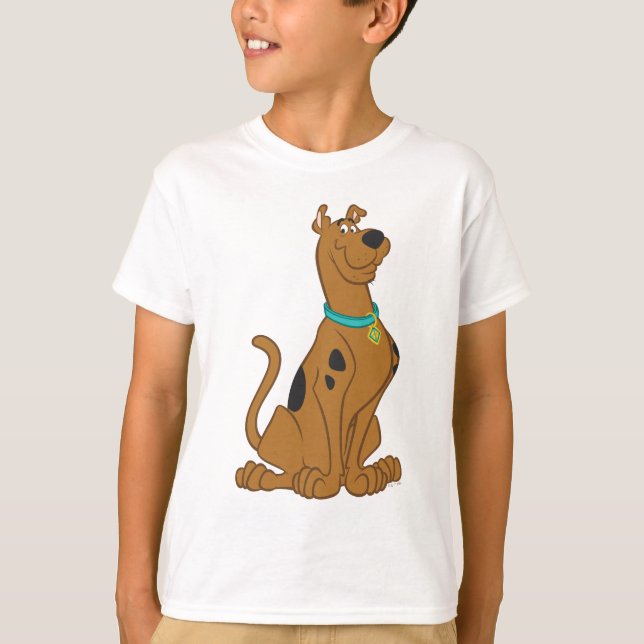 Camiseta Scooby-Doo Cuter Thate (Anverso)