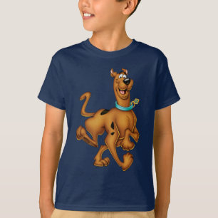 Camiseta Scooby-Doo Happy Walk