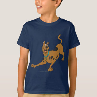 Camiseta Scooby-Doo Listo Para Jugar