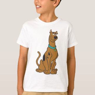 Camiseta Scooby-Doo Puppy Eyes