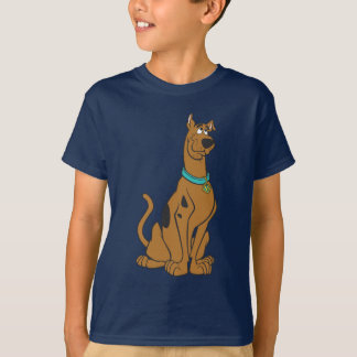 Camiseta Scooby-Doo Puppy Eyes