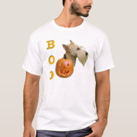Scottish Terrier (trigo) Boo