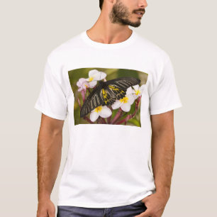 Camiseta SE de Asia, Tailandia, Khon Kaen