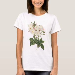 Camiseta se ruboriza el noisette subió (noisettiana de