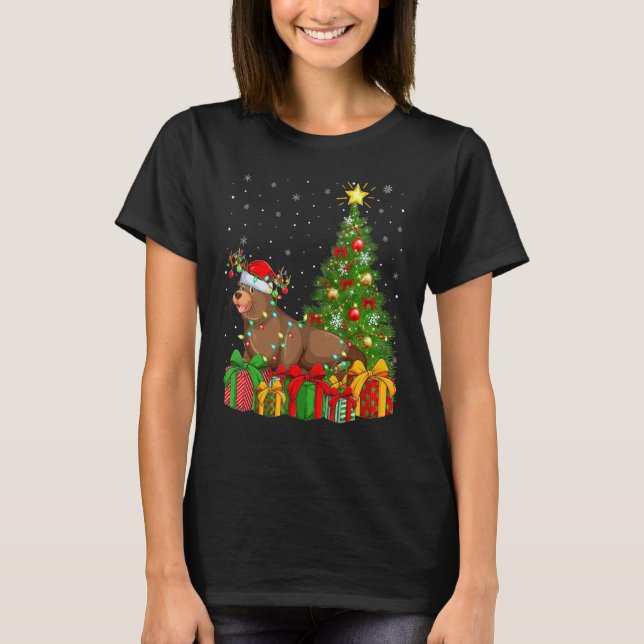 Camiseta Sea Lion   Xmas Holiday Santa Sea Lion Christmas T (Anverso)