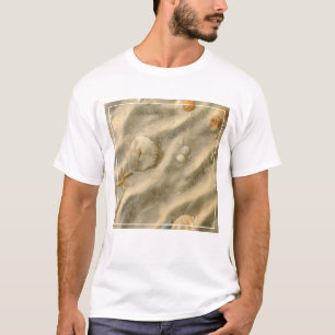 Camiseta Seashells en arena