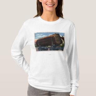 Camiseta Seattle, registro de WashingtonGiant en el camino