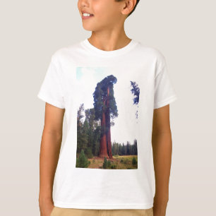 Camiseta Secoya