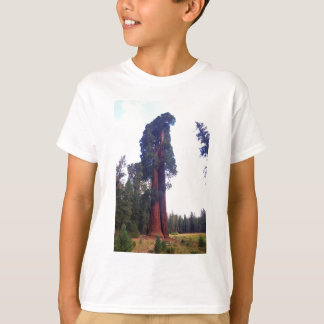 Camiseta Secoya