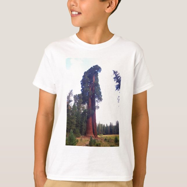 Camiseta Secoya (Anverso)