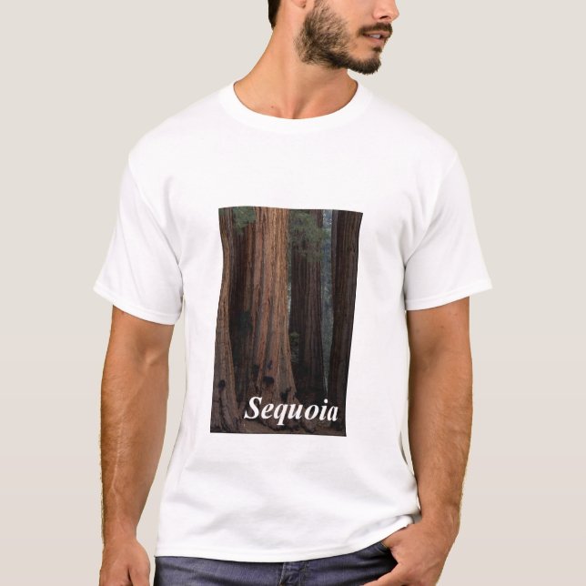 Camiseta Secoya (Anverso)