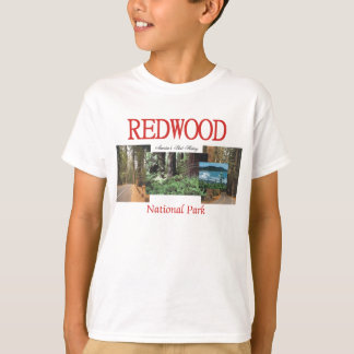 Camiseta Secoya de ABH