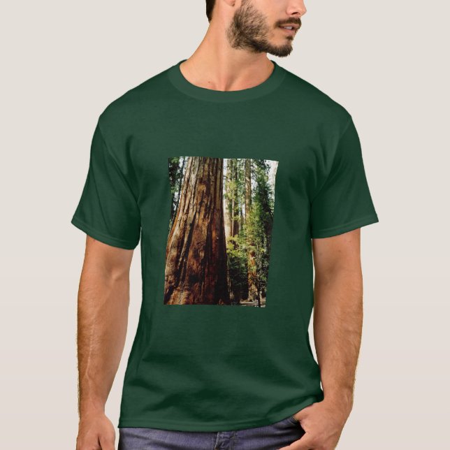 Camiseta Secoyas de Yosemite (Anverso)