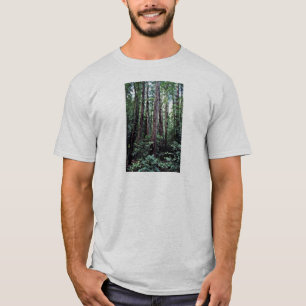 Camiseta Secoyas - monumento nacional de maderas de Muir