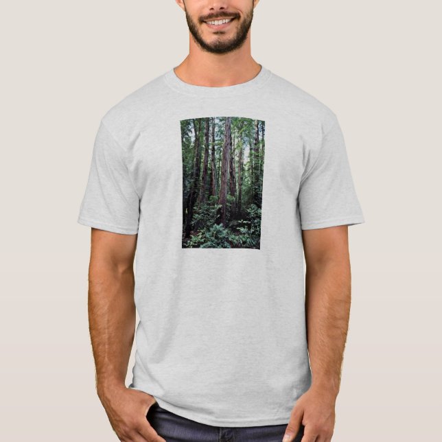 Camiseta Secoyas - monumento nacional de maderas de Muir (Anverso)