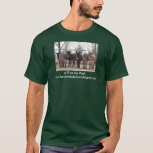 Camiseta Seis paquetes verdadero