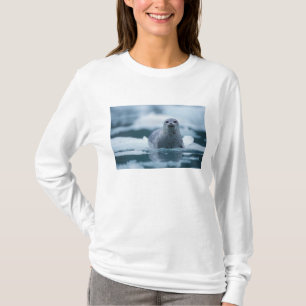 Camiseta sello del puerto pacífico, Phoca vitulina richards