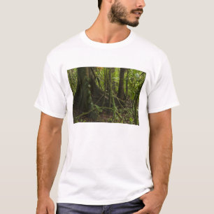 Camiseta Selva tropical, río Mapari al norte de Rupununi,