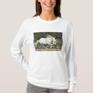 Camiseta Semental Andaluz corriendo, PR