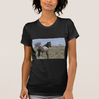 Camiseta Semental del este de Douglas/de Piceance HMA