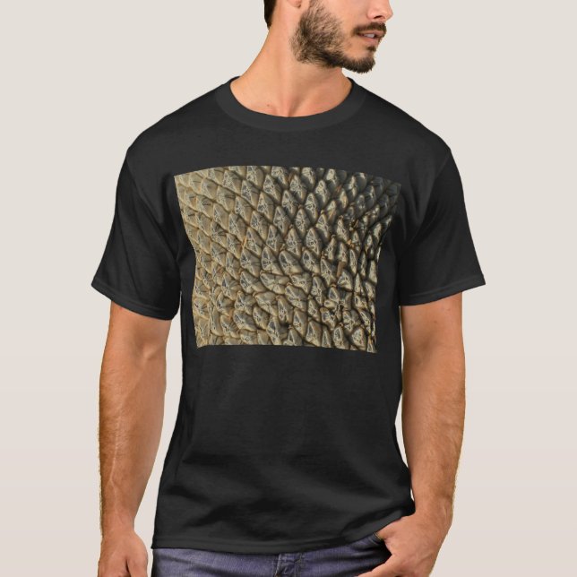 Camiseta - Semillas de girasol (Anverso)