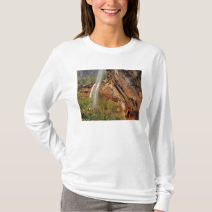 Camiseta Senderismo en el Emerald Pools Trail en Zion Natio