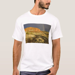 Camiseta Sendero simple en Red Cliffs Desert Preserve cerca