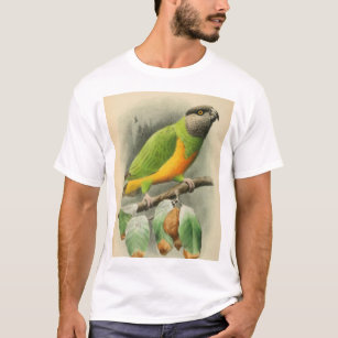 Camiseta Senegal Parrot, macho adulto